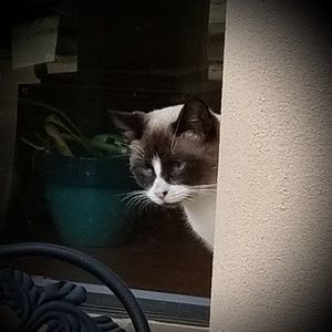 Meet your Posher, Debi